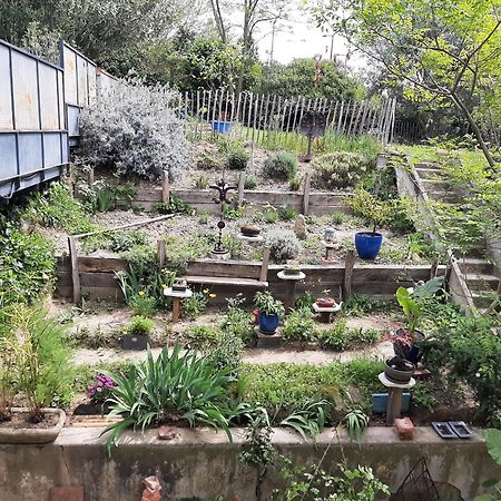 Vila Le 16 Toulouse Exteriér fotografie