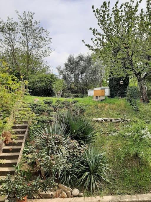 Vila Le 16 Toulouse Exteriér fotografie